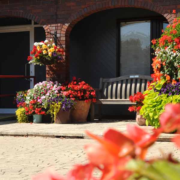 Manorfield Care Home Chichester - Summer flower planting display